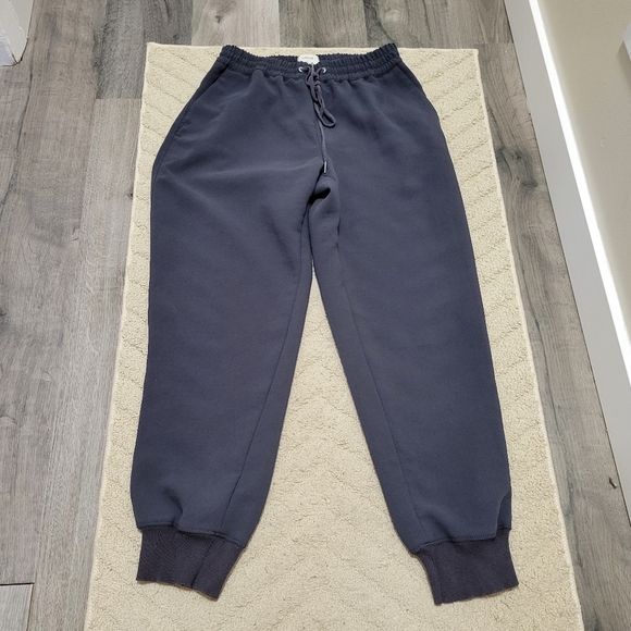 Aritzia Navy Jogger Pants - Picture 3 of 9